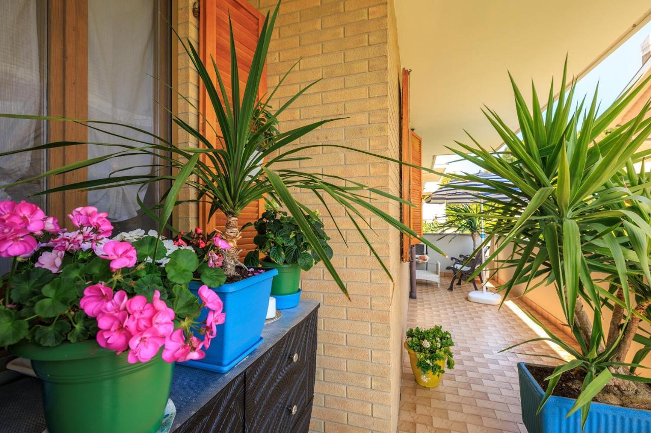 B&B Il Tiglio Porto SantʼElpidio Екстериор снимка