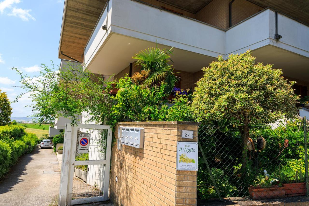B&B Il Tiglio Porto SantʼElpidio Екстериор снимка
